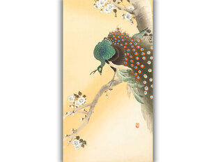 Reprodukcija Pāvs uz ziedošās sakuras (Ohara Kosona), 100x60 cm cena un informācija | Gleznas | 220.lv