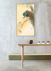 Reprodukcija Pāvs uz ziedošās sakuras (Ohara Kosona), 100x60 cm cena un informācija | Gleznas | 220.lv