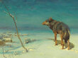Reprodukcija Vientuļais vilks (Alfrēds fon Verušs-Kovaļskis), 80x65 cm cena un informācija | Gleznas | 220.lv