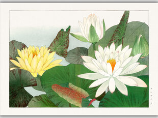 Репродукция Винтажная ботаника: Лотос, 60x80 см цена и информация | Картины | 220.lv