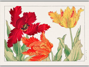 Reprodukcija Vintāžas botānika: Papagaiļu tulpes, 100x70 cm cena un informācija | Gleznas | 220.lv