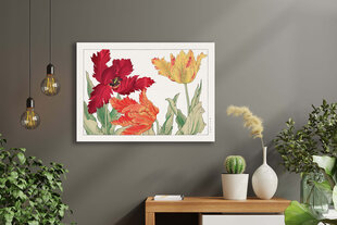 Reprodukcija Vintāžas botānika: Papagaiļu tulpes, 40x60 cm cena un informācija | Gleznas | 220.lv