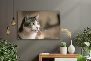 Картина Портрет кошки, 40х60 см, Wolf Kult цена и информация | Картины | 220.lv