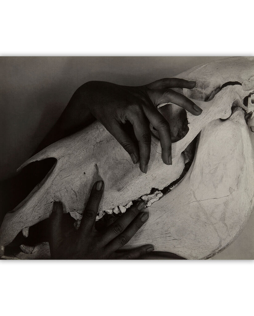 Glezna Rokas un zirga galvaskauss (1931) (Alfrēds Štiglics), 100x80 cm cena un informācija | Gleznas | 220.lv