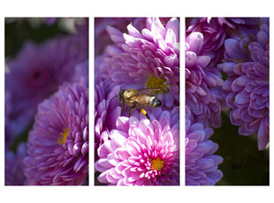 Триптих Пчела, 150x100 см, Wolf Kult цена и информация | Картины | 220.lv