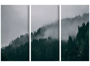 Триптих Туманный лес, 150x100 см, Wolf Kult цена и информация | Картины | 220.lv
