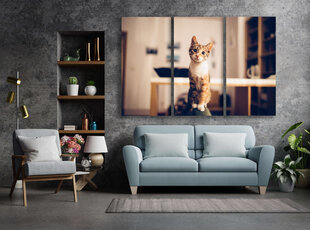 Glezna 3 daļas Ziņkārīgā kaķene, 150x100 cm, Wolf Kult cena un informācija | Gleznas | 220.lv