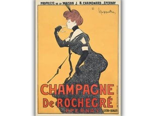 Винтажный плакат Шампанское от Рошегре, 42x59 см (А2), цена и информация | Картины | 220.lv