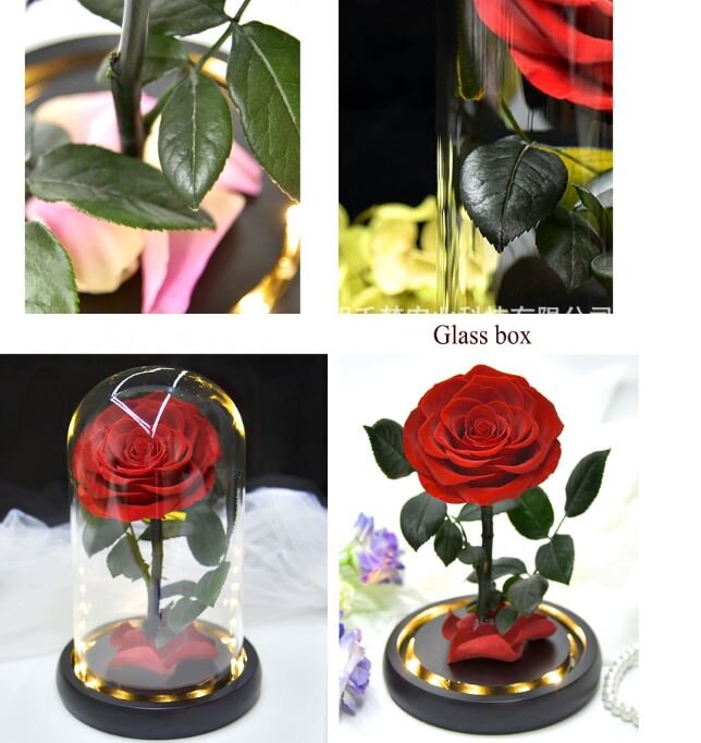 Roze stikla kolbā, 22 cm цена и информация | Stabilizētās rozes, augi | 220.lv