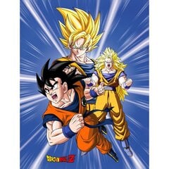 Bērnu pleds Dragon Ball, 130x170 cm цена и информация | Покрывала, пледы | 220.lv