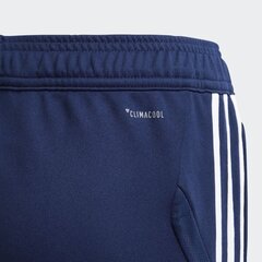 Брюки Adidas Tiro19, синий цвет цена и информация | Футбольная форма и другие товары | 220.lv