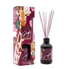 Mājas aromāts ar kociņiem La casa de los aromas Safari Giraffe Chic, 100ml цена и информация | Ароматы для дома | 220.lv