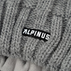 Мужская шапка Alpinus Kemi ST18330, светло-серая цена и информация | Мужские шарфы, шапки, перчатки | 220.lv