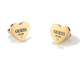 Бижутерия Guess JUBE02177JWYG цена и информация | Серьги | 220.lv