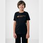 T-krekls 4F Jr HJZ22-JTSM003 30S, melns, 128 cm cena un informācija | Zēnu krekli | 220.lv