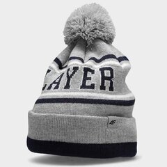 Шляпа 4F Jr, серая  цена и информация | Шапки, перчатки, шарфы для мальчиков | 220.lv