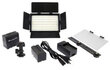 Falcon Eyes Bi-Color LED (DV-216VC) цена и информация | Apgaismojums fotografēšanai | 220.lv