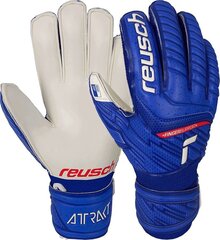 Вратарские перчатки Reusch Attrakt Grip Finger Support Jr 51 72 810 4011, синие цена и информация | Тренировочные перчатки. Размер 5 | 220.lv