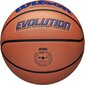 Basketbola bumba Wilson Evo, 7. izmērs цена и информация | Basketbola bumbas | 220.lv