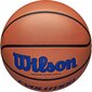 Basketbola bumba Wilson Evo, 7. izmērs цена и информация | Basketbola bumbas | 220.lv