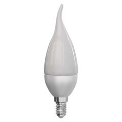 Светодиодная лампа CLASSIC CANDLE TAIL 6W E14 ТЕПЛЫЙ цена и информация | Лампочки | 220.lv