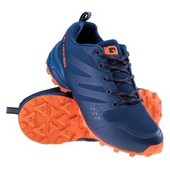 Skriešanas apavi vīriešiem IQ Tawer M 92800401388, zili cena un informācija | Sporta apavi vīriešiem | 220.lv