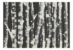 Фотообои - Stately Birches - Second Variant цена и информация | Фотообои | 220.lv