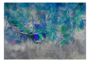 Foto tapete - Peacock Feathers cena un informācija | Fototapetes | 220.lv