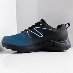 Обувь DK Blade Navy 11121/NAVY цена и информация | Кроссовки для мужчин | 220.lv