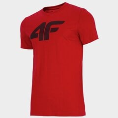 Мужская футболка 4F цена и информация | Мужская спортивная одежда | 220.lv