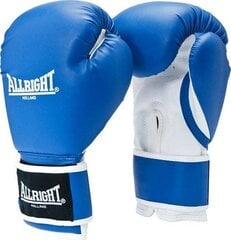Боксерские перчатки Allright POWER GEL 14oz синий цвет цена и информация | Боевые искусства | 220.lv