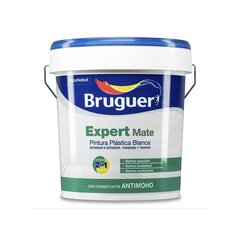 Краска Bruguer Expert 5208090, 15 л цена и информация | Краска | 220.lv