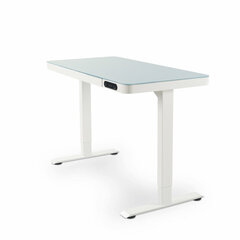 Письменный стол Nate, Сталь, (120,3 x 60,3 см), белый цена и информация | Компьютерные, письменные столы | 220.lv