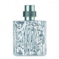 Tualetes ūdens Cerruti 1881 Silver EDT 100 ml cena un informācija | Cerruti Smaržas, kosmētika | 220.lv