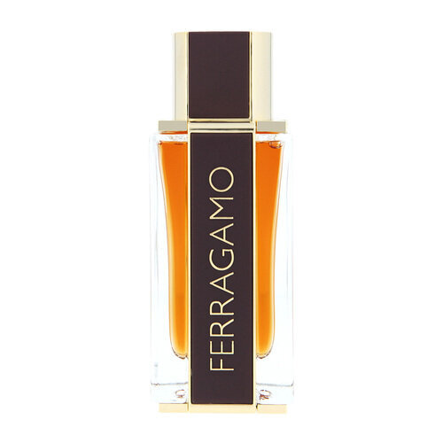 Parfimērijas ūdens Salvatore Ferragamo Ferragamo Spicy Leather EDP 100 ml cena un informācija | Vīriešu smaržas | 220.lv