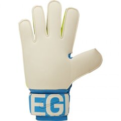 Вратарские перчатки Nike FA19 GS3892 486, синие цена и информация | Перчатки вратаря | 220.lv