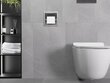 Mexen X-Wall-P zemapmetuma tualetes papīra turētājs, Inox cena un informācija | Vannas istabas aksesuāri | 220.lv