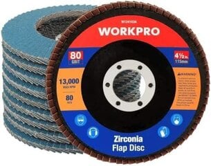 WorkPro Professional šķēles 10 gabali Ø 115 mm x 22,2 mm ventilatora slīpēšanas ritenis - smiltis 80 - zilā standarta slīpēšanas mopa plāksne nerūsējošā tērauda, ​​metāla un koksnes cena un informācija | Rokas instrumenti | 220.lv