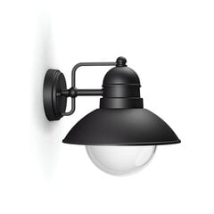 Лампа Philips hoverfly цена и информация | Уличное освещение | 220.lv