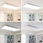 Arcchio Arya LED panelis regulējams 119 cm x 59 cm цена и информация | Iebūvējamās lampas, LED paneļi | 220.lv