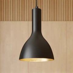 Подвесной светильник Archchio Cosmina, 1 лампочка. черный цена и информация | Настенный/подвесной светильник Eye Spot 11 BL, чёрный | 220.lv