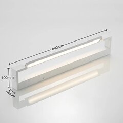 Настенный светильник Archchio Jora LED, IP44, белый, 60 см цена и информация | Потолочный светильник | 220.lv