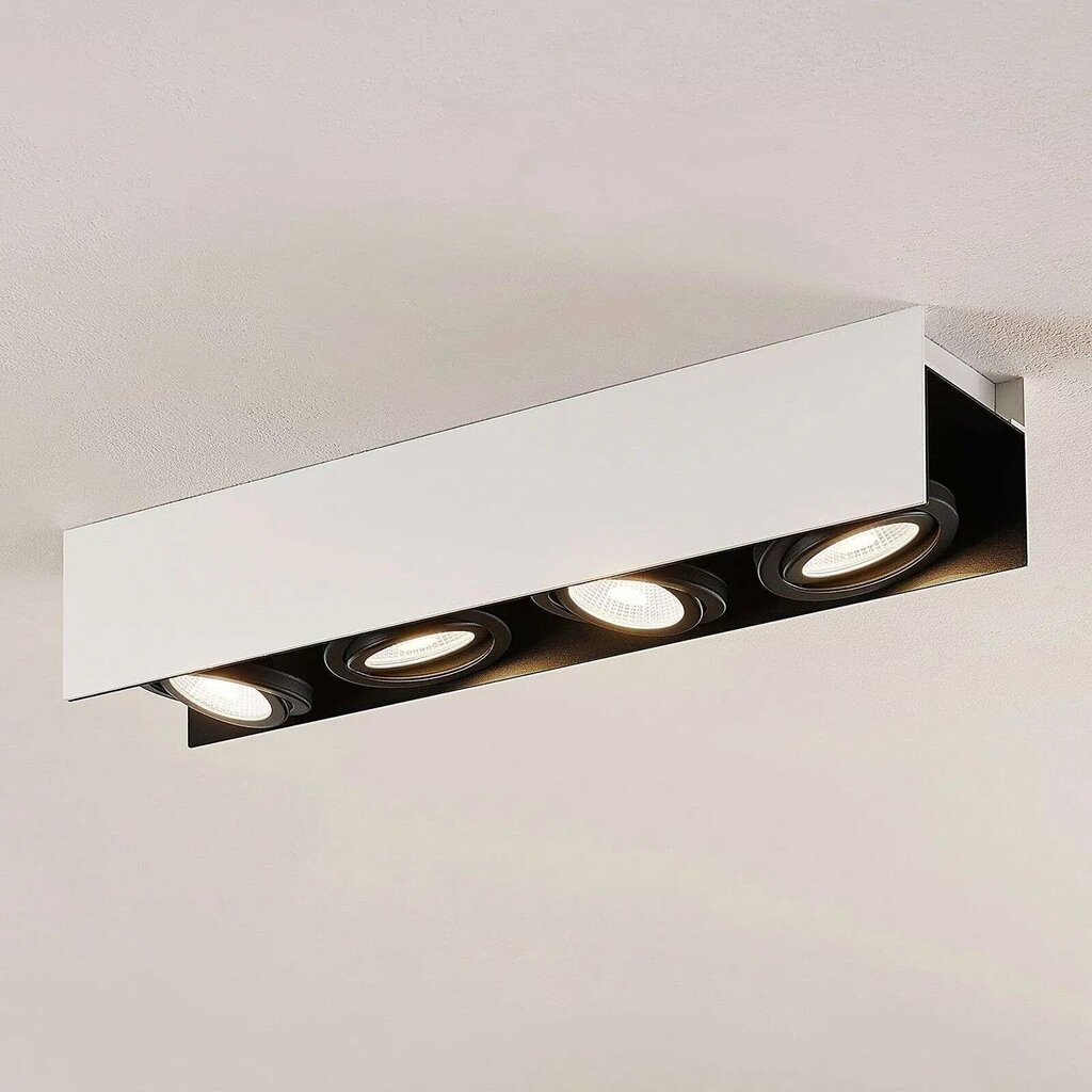 Archchio Olinka LED griestu lampa, melnbalta 4 spuldzes. cena un informācija | Griestu lampas | 220.lv