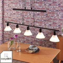 Подвесной светодиодный светильник Eleasa, easydim 5 ламп, черный цена и информация | Люстры | 220.lv
