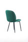 2-u krēslu komplekts Element Amy Designer krēsls, zaļš cena un informācija | Virtuves un ēdamistabas krēsli | 220.lv