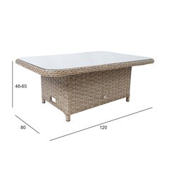 Galds PACIFIC 120x80xH46 / 65cm, pelēcīgi bēšs cena un informācija | Dārza galdi | 220.lv