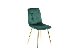 Mīksts ēdamkrēsls A2A CN-6004, zaļš ar zelta rāmi cena un informācija | Virtuves un ēdamistabas krēsli | 220.lv