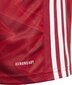T-krekls Adidas, sarkans цена и информация | Futbola formas un citas preces | 220.lv