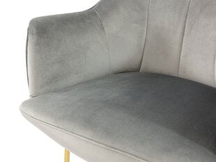Krēsls SYDONIK-Magic Velvet 2225 cena un informācija | Atpūtas krēsli | 220.lv