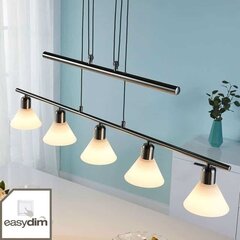 Подвесной светодиодный светильник Eleasa, easydim 5 ламп, никель цена и информация | Люстры | 220.lv